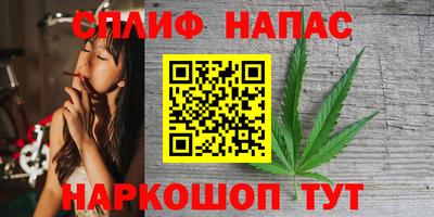 сатива Можга