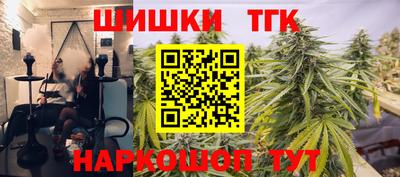 сатива Можга