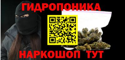 сатива Можга