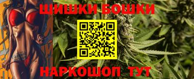 сатива Можга