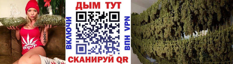 где найти наркотики  Тольятти  гидра ССЫЛКА  Конопля SATIVA & INDICA 